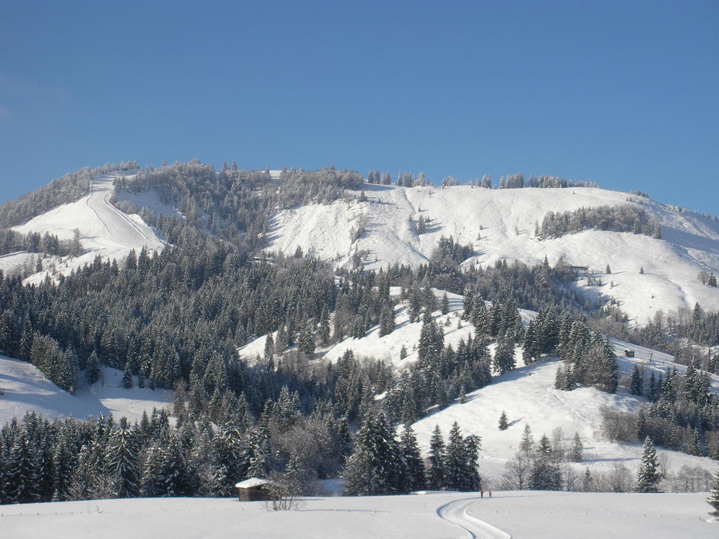 Haus Hubertus Appartement Hochfilzen Buitenkant foto