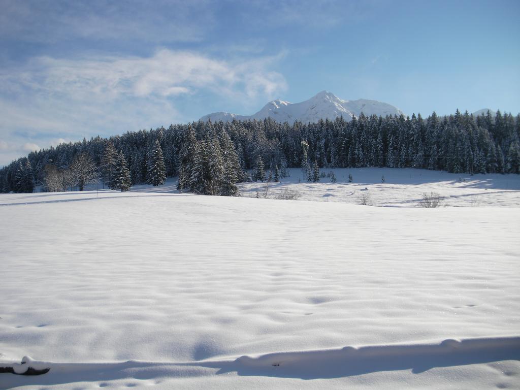 Haus Hubertus Appartement Hochfilzen Buitenkant foto