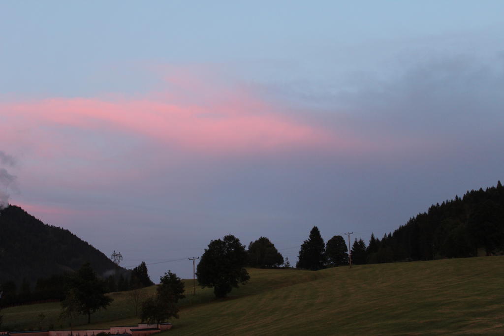 Haus Hubertus Appartement Hochfilzen Buitenkant foto